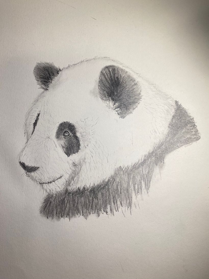 1st try - I tried during the first lessons