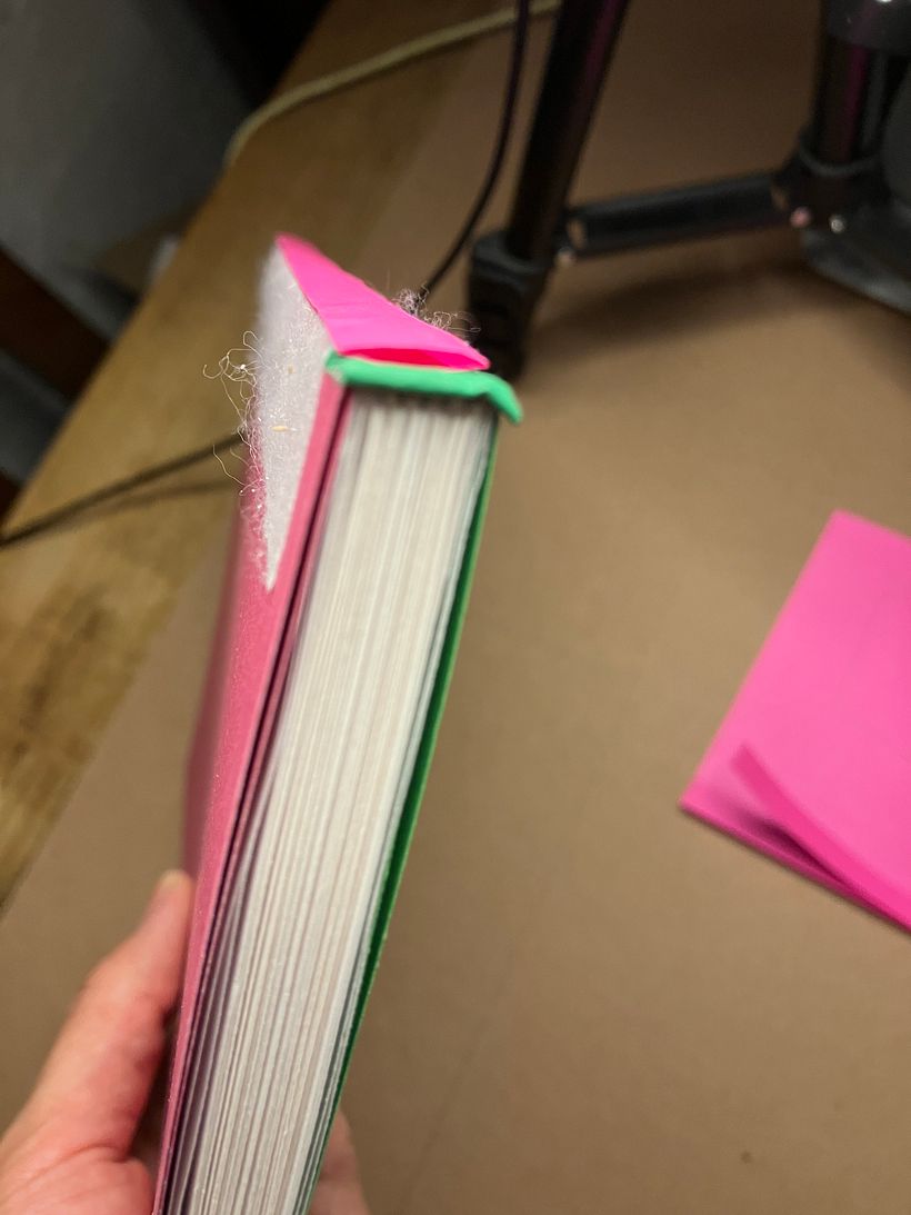 Mi proyecto del curso: Diseño y encuadernación de sketchbooks 9