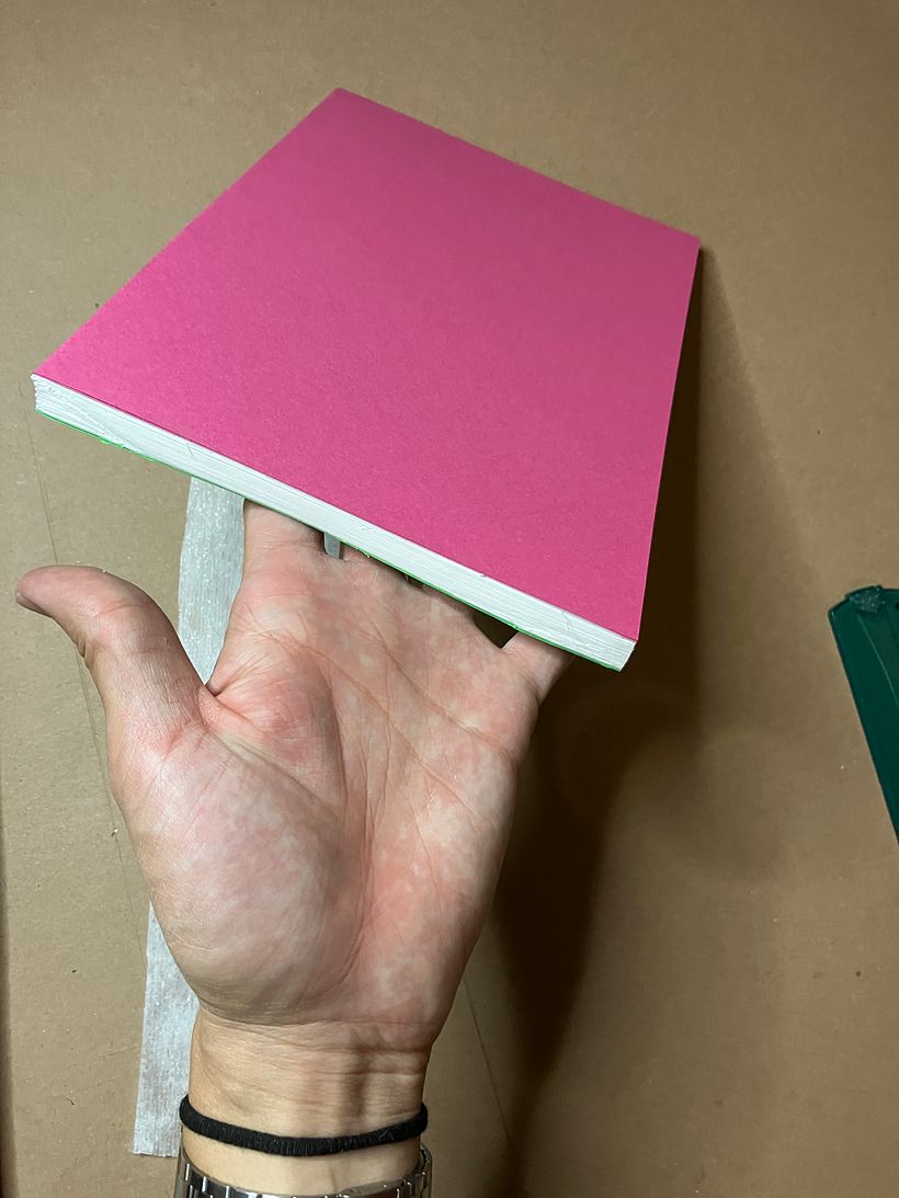 Mi proyecto del curso: Diseño y encuadernación de sketchbooks 14