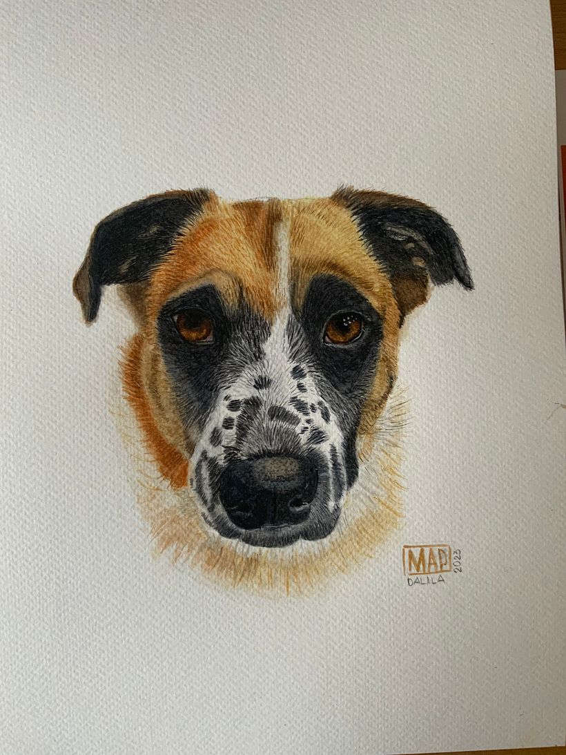 Dalila. Watercolor portrait on fabriano paper 1