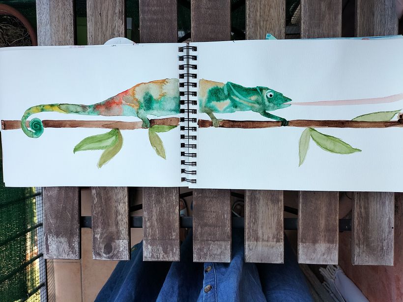 Il mio progetto del corso: Sketching creativo ad acquerello per principianti @laura_mckendry 7