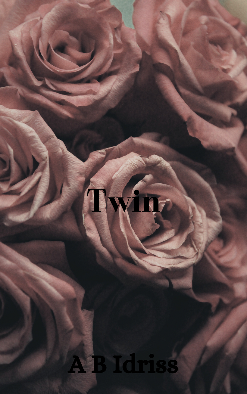 Twin 3