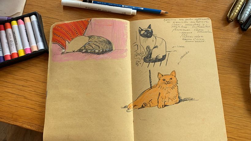 Mon projet du cours : Exercices de croquis pour faire évoluer votre art 5