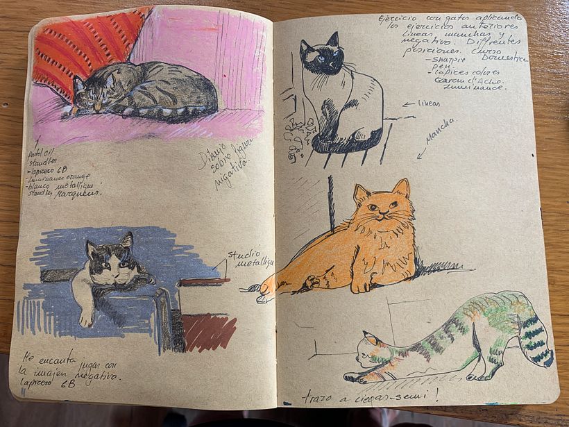 Mon projet du cours : Exercices de croquis pour faire évoluer votre art 6