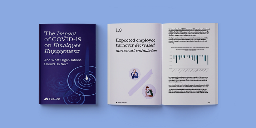 Peakon Illustration System 8