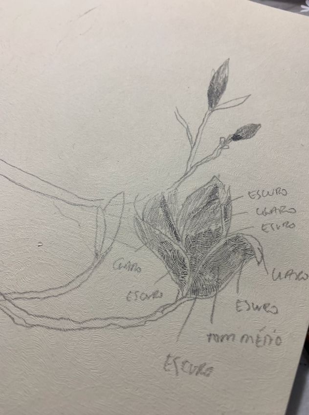 criando o esboço para a pintura em aquarela