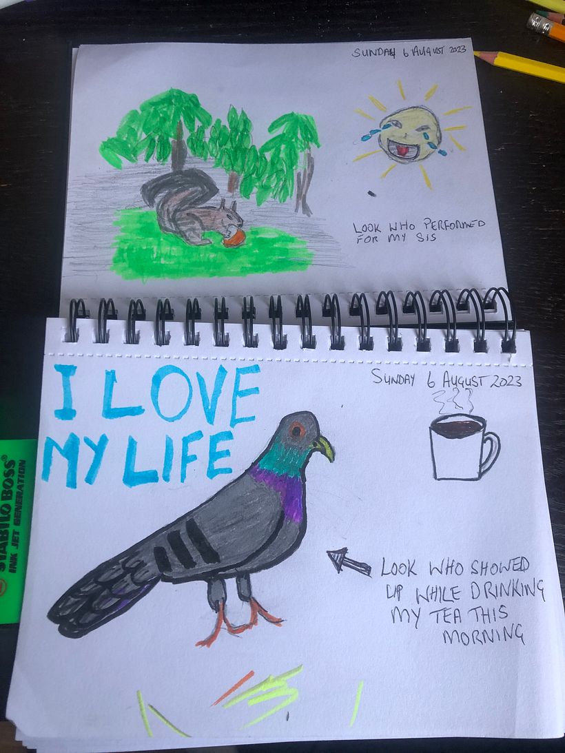 My project pictures for illustrated journal 3