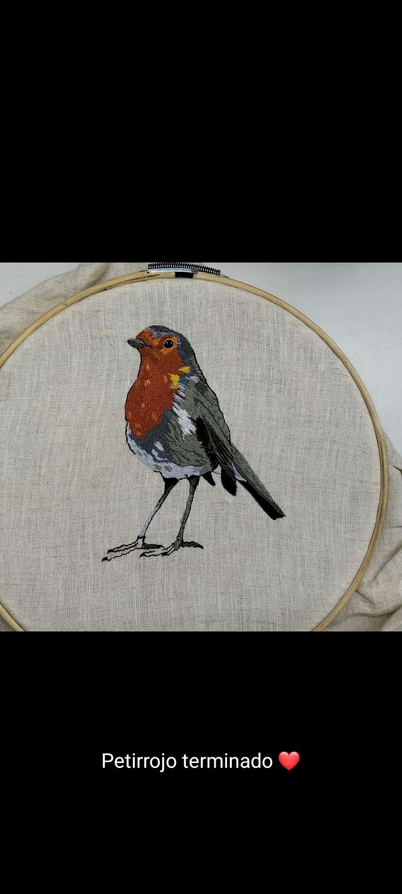 Mi proyecto del curso: Pintar con hilo: técnicas de ilustración textil 1