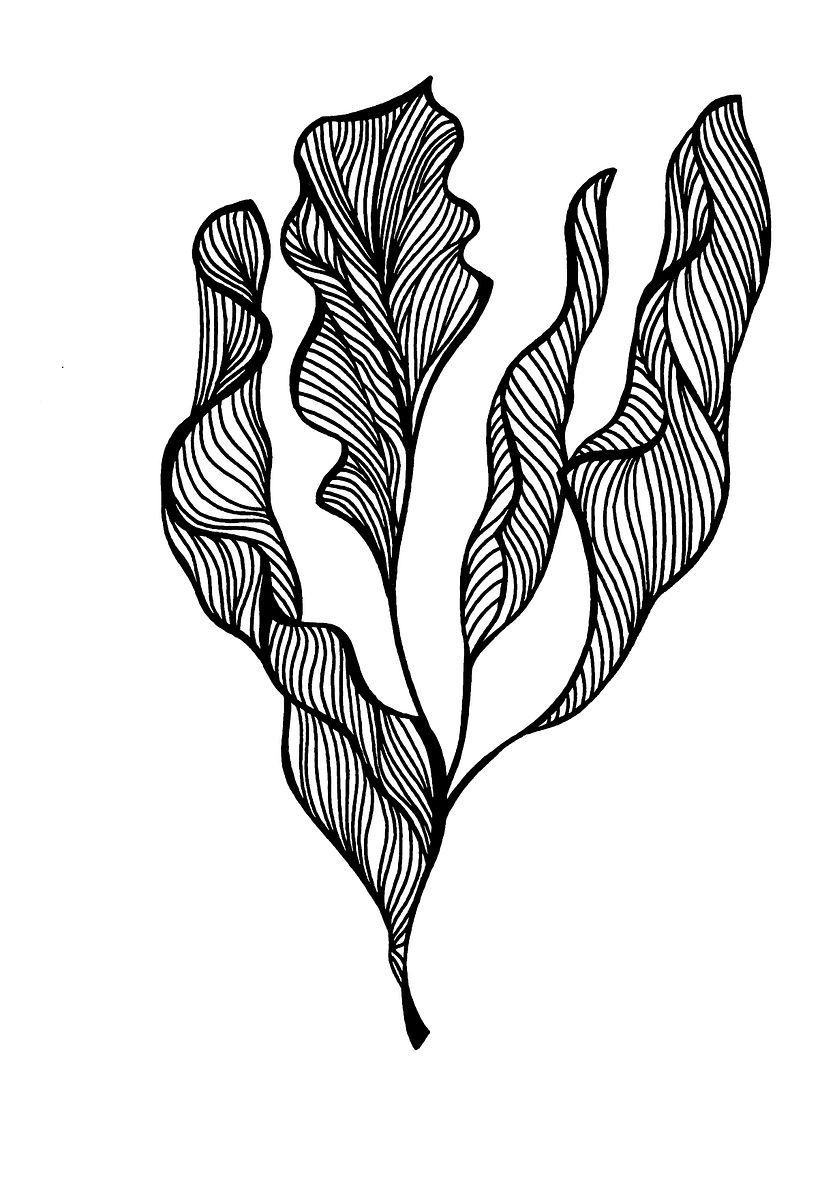 Creación de Tejidos digitales con Substance Sampler 4