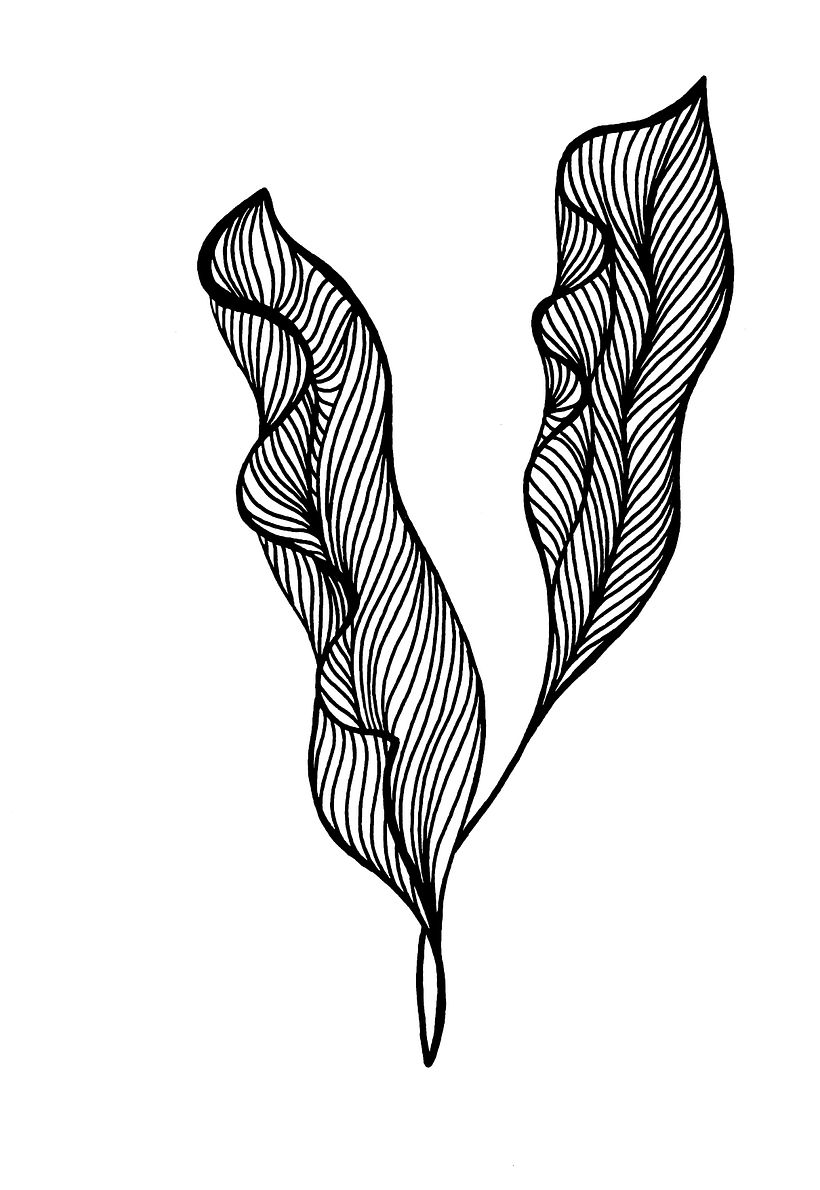 Creación de Tejidos digitales con Substance Sampler 5