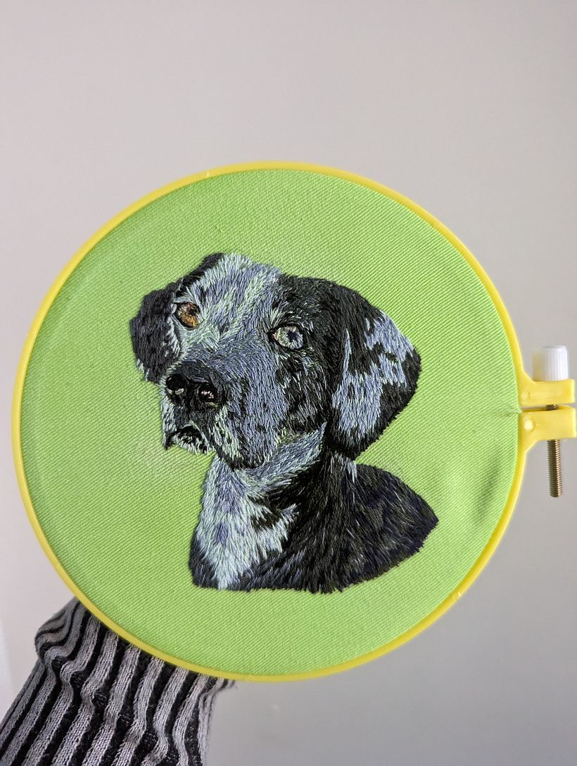Oliver: My project for course: Embroidered Pet Portraits:  1