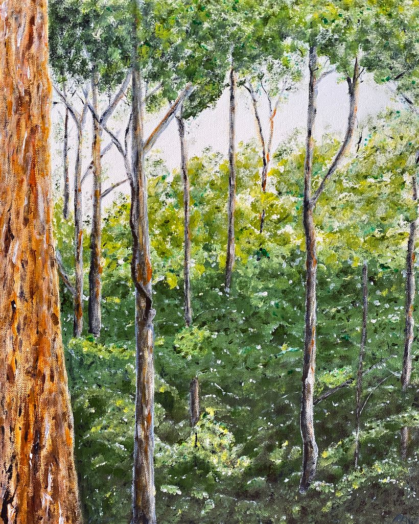 Karri forest, WA, Australia acrylic from own reference