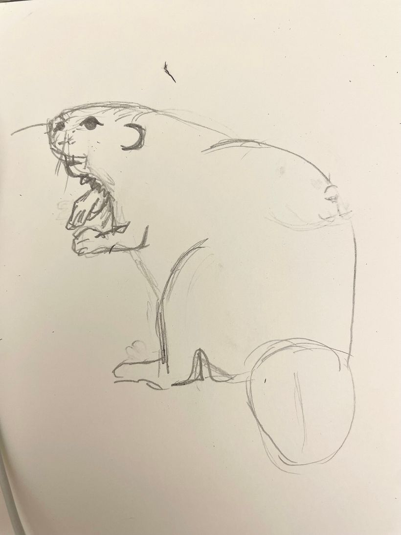 Sketch 2