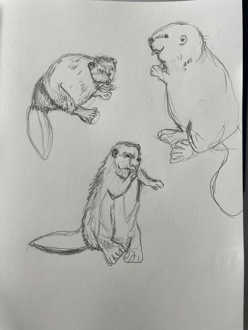 Final sketch 