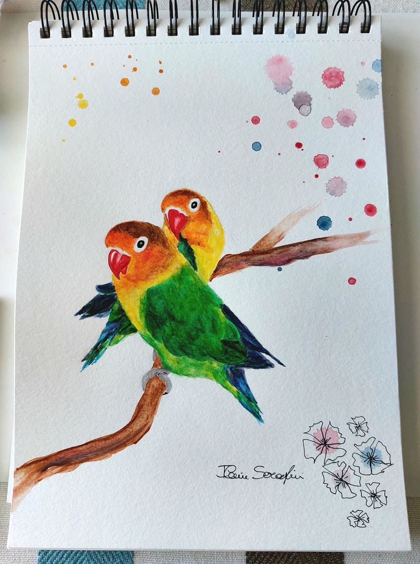 I primi Acquerelli di Ilenia: gli uccelli 2