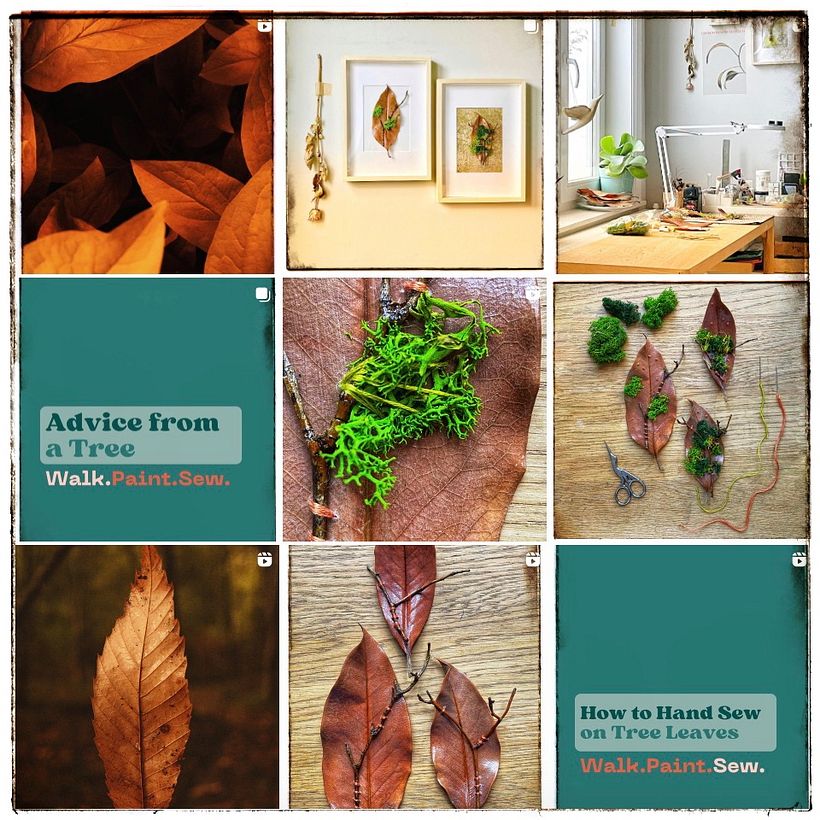 Post Feed - Autumn 