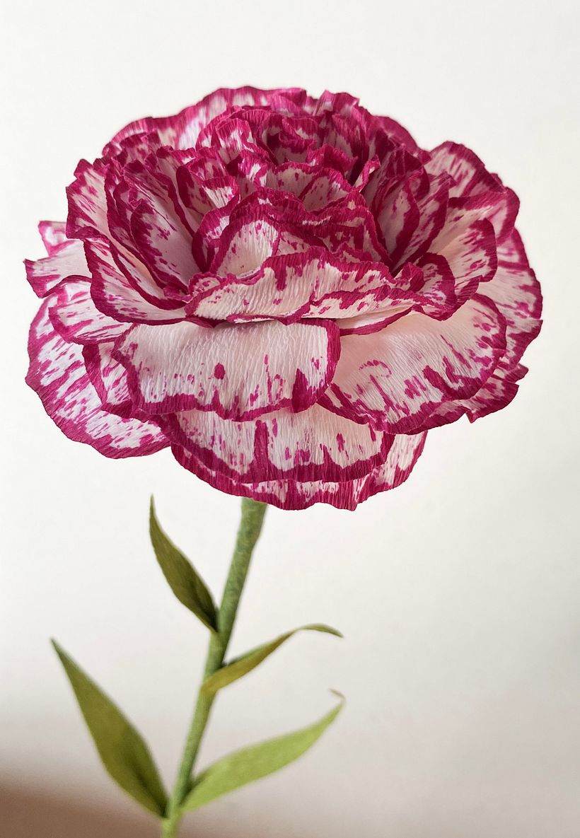 Claveles de papel pintados a mano - Papercraft