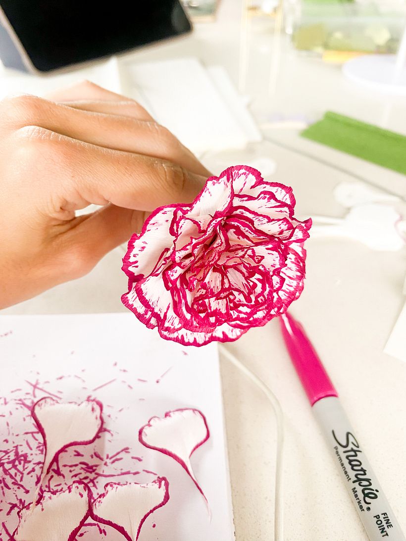 Claveles de papel pintados a mano - Papercraft
