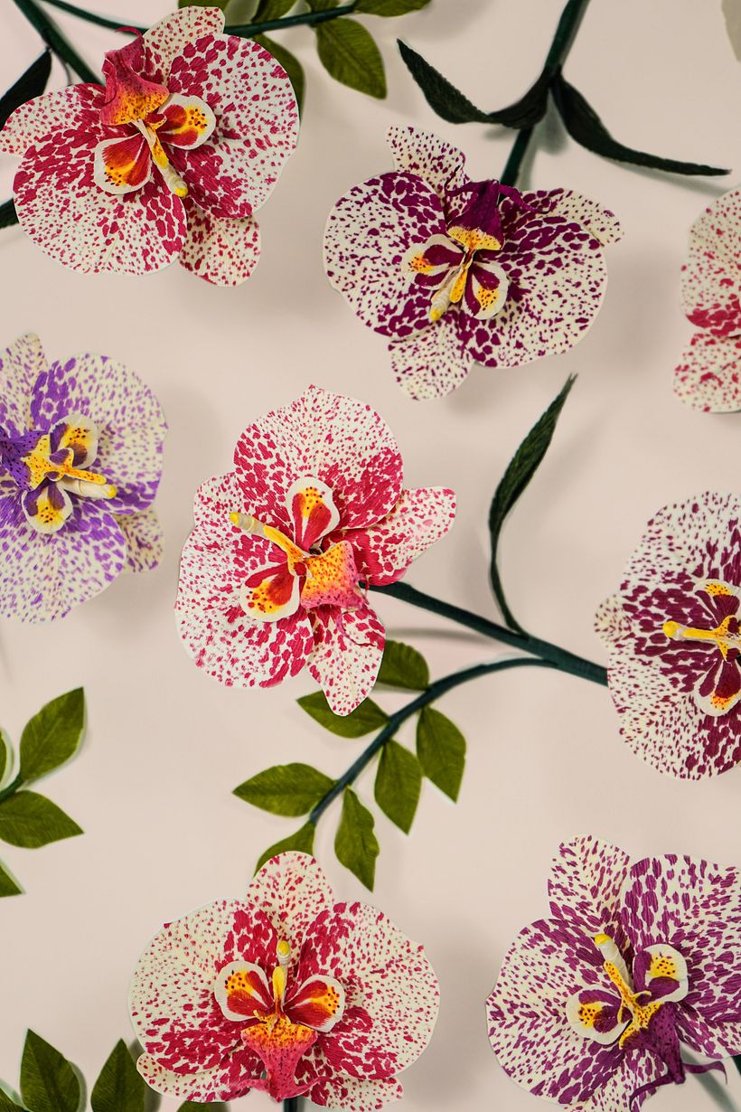 Orquídeas de papel  1