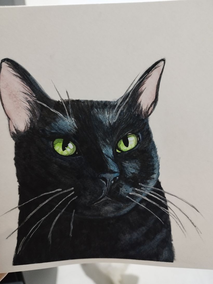 Meu projeto do curso: Retratos expressivos de animais em aquarela 1