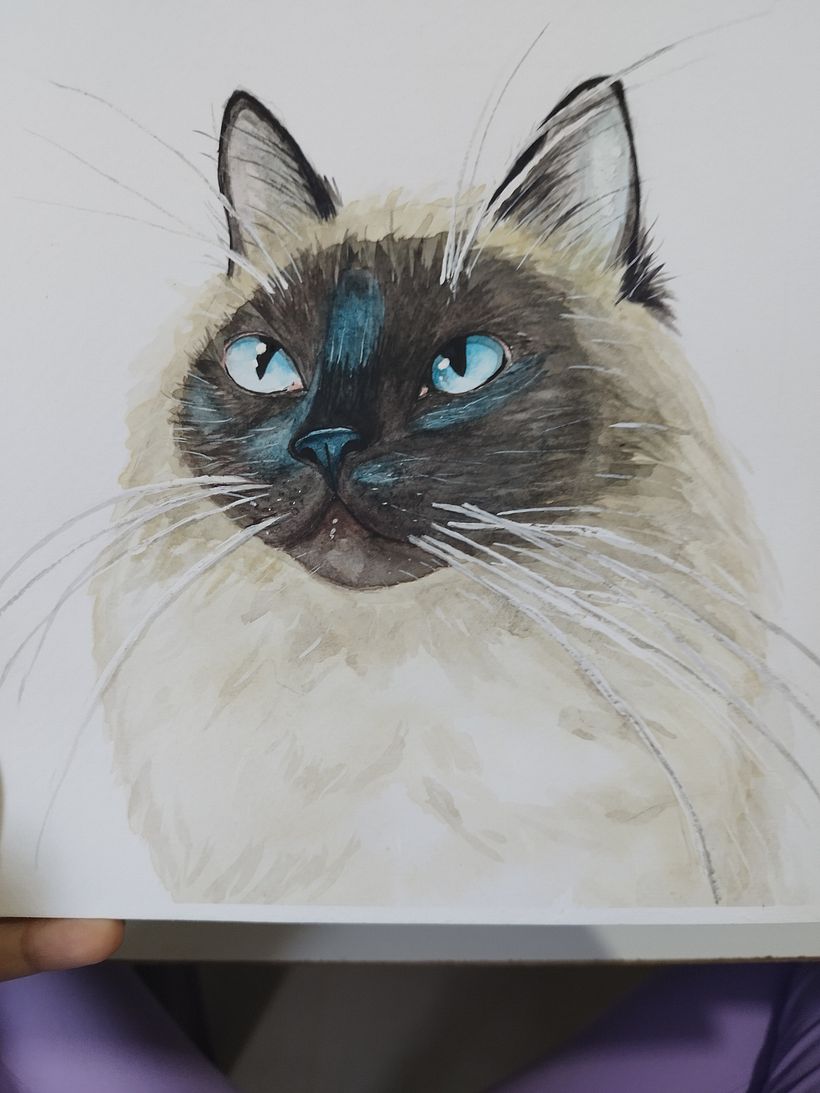 Meu projeto do curso: Retratos expressivos de animais em aquarela 5