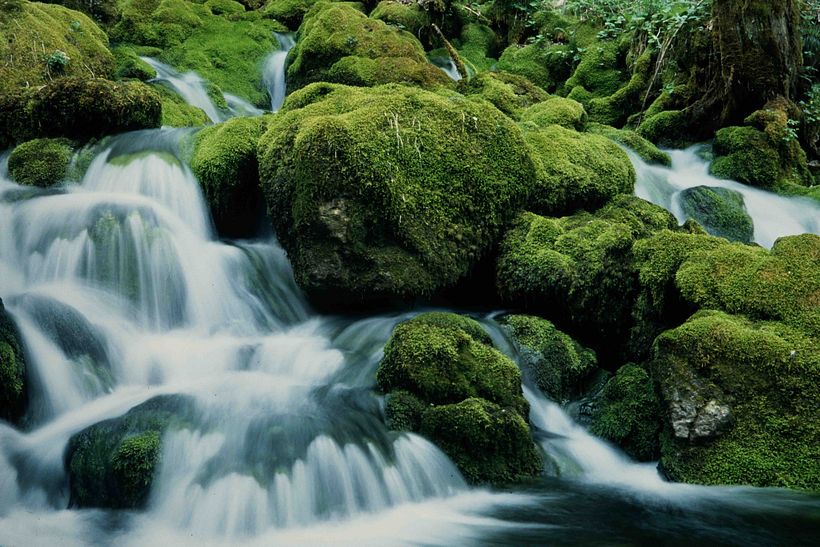 Tutorial de Fotografía: cómo congelar el movimiento 4