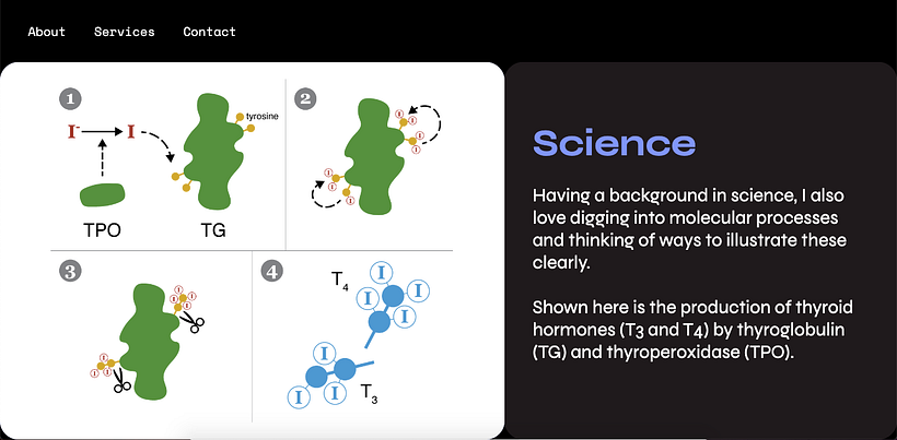 Charlotte van Noort's services page for "HTML, CSS, and Javascript for Beginners" course (Unit 3) showing an illustration