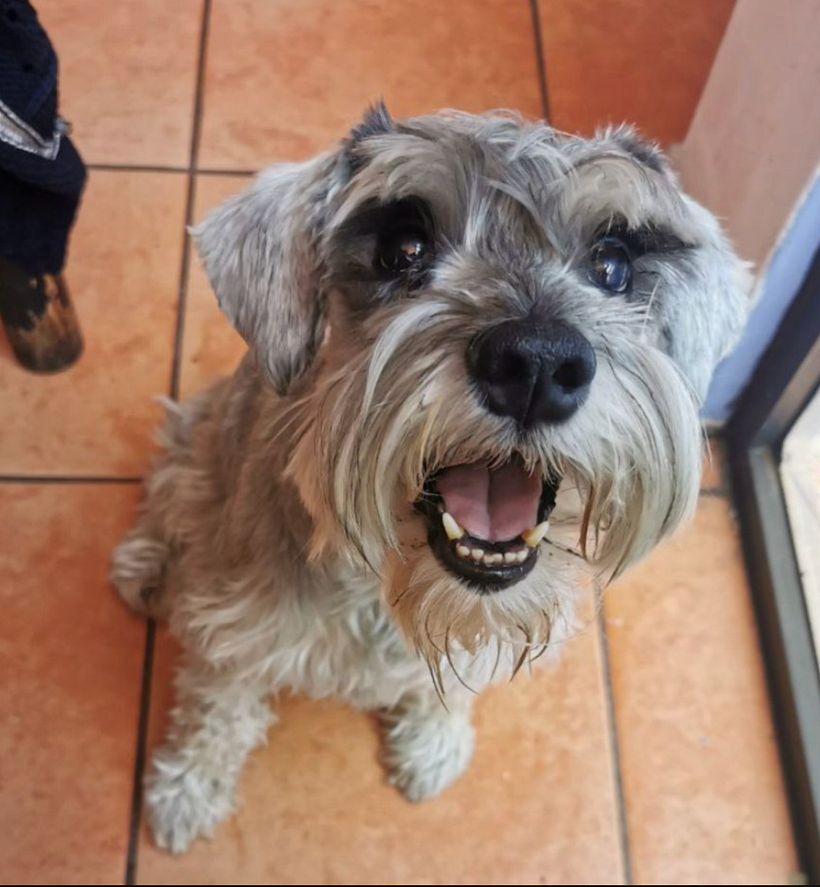 Mateo