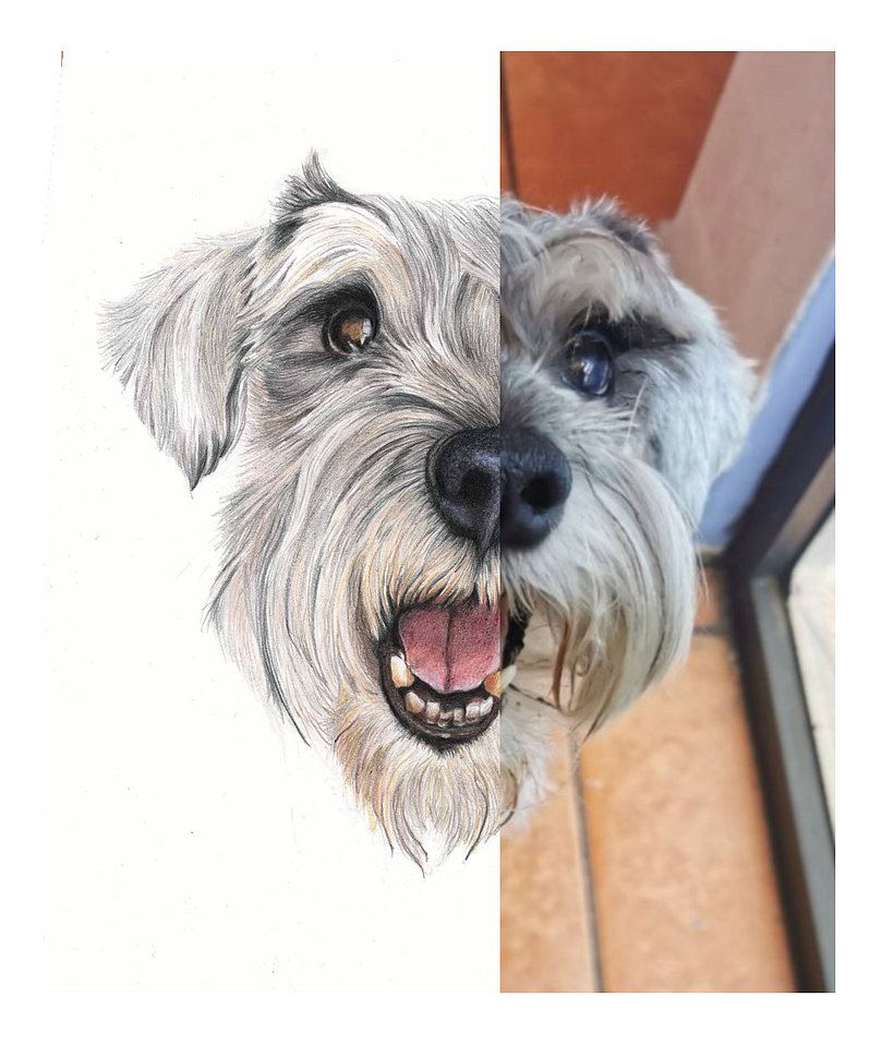 Mateo. Mi proyecto del curso: Retratos de Mascotas en Lápices de Colores 3
