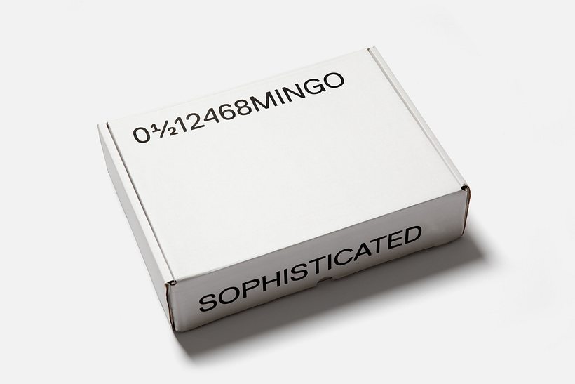 Visual Identity Mingo 9