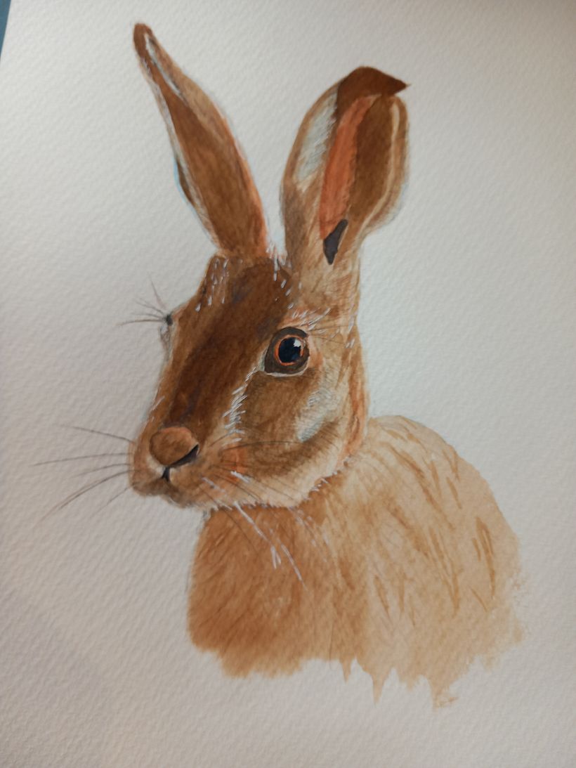 Got a bit impatient at the end, using a gel pen, but overall reasonably happy with it. Blending is tricky.