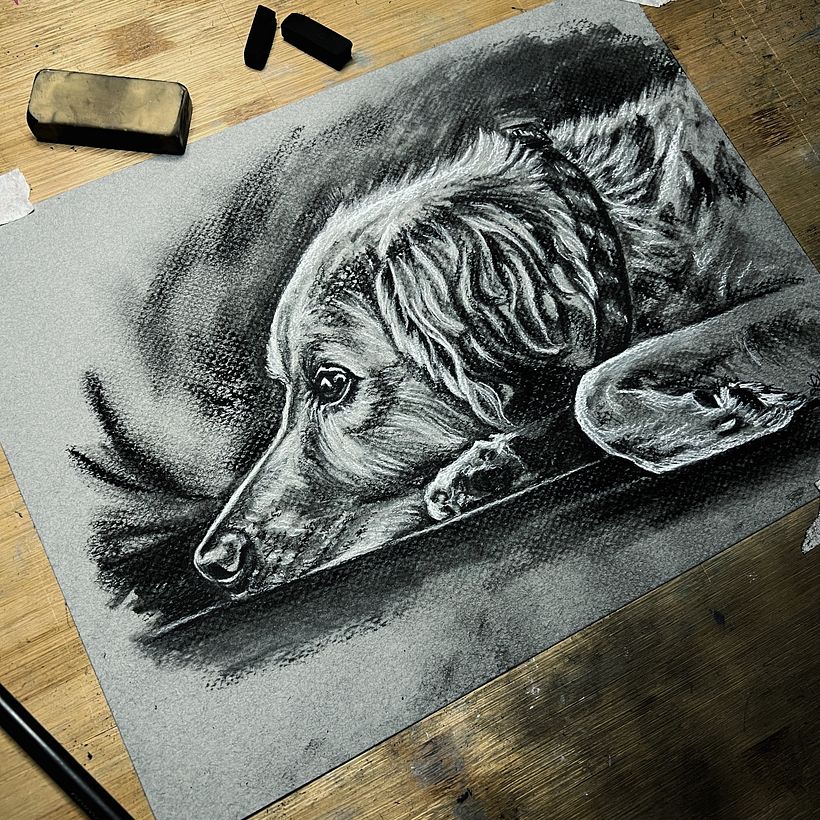My project for course: Animal Illustration with Charcoal and Ink 3