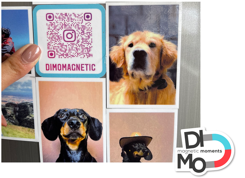 DIMO 1