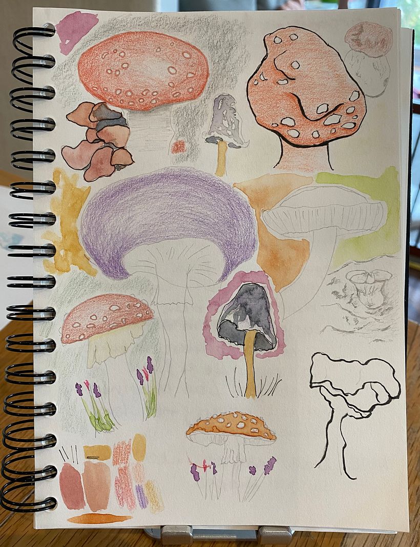 My project for course: Daily Sketching for Creative Inspiration 11