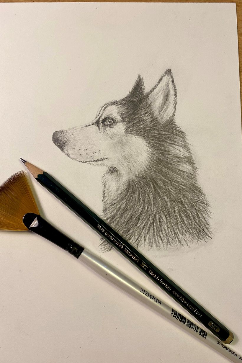 My project for course: Naturalistic Animal Drawing with Graphite Pencil 3