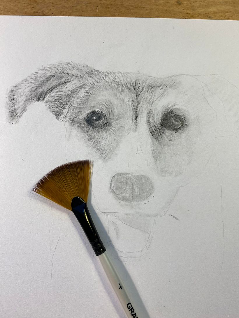 My project for course: Naturalistic Animal Drawing with Graphite Pencil 3