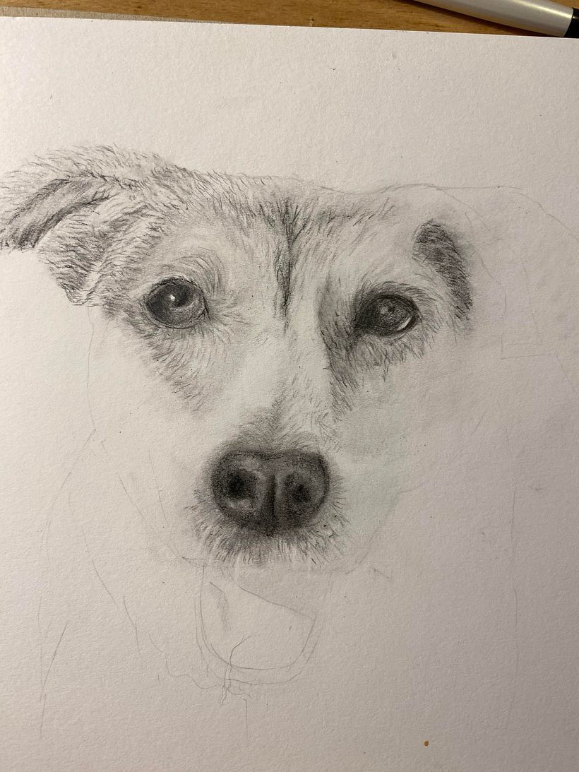 My project for course: Naturalistic Animal Drawing with Graphite Pencil 4