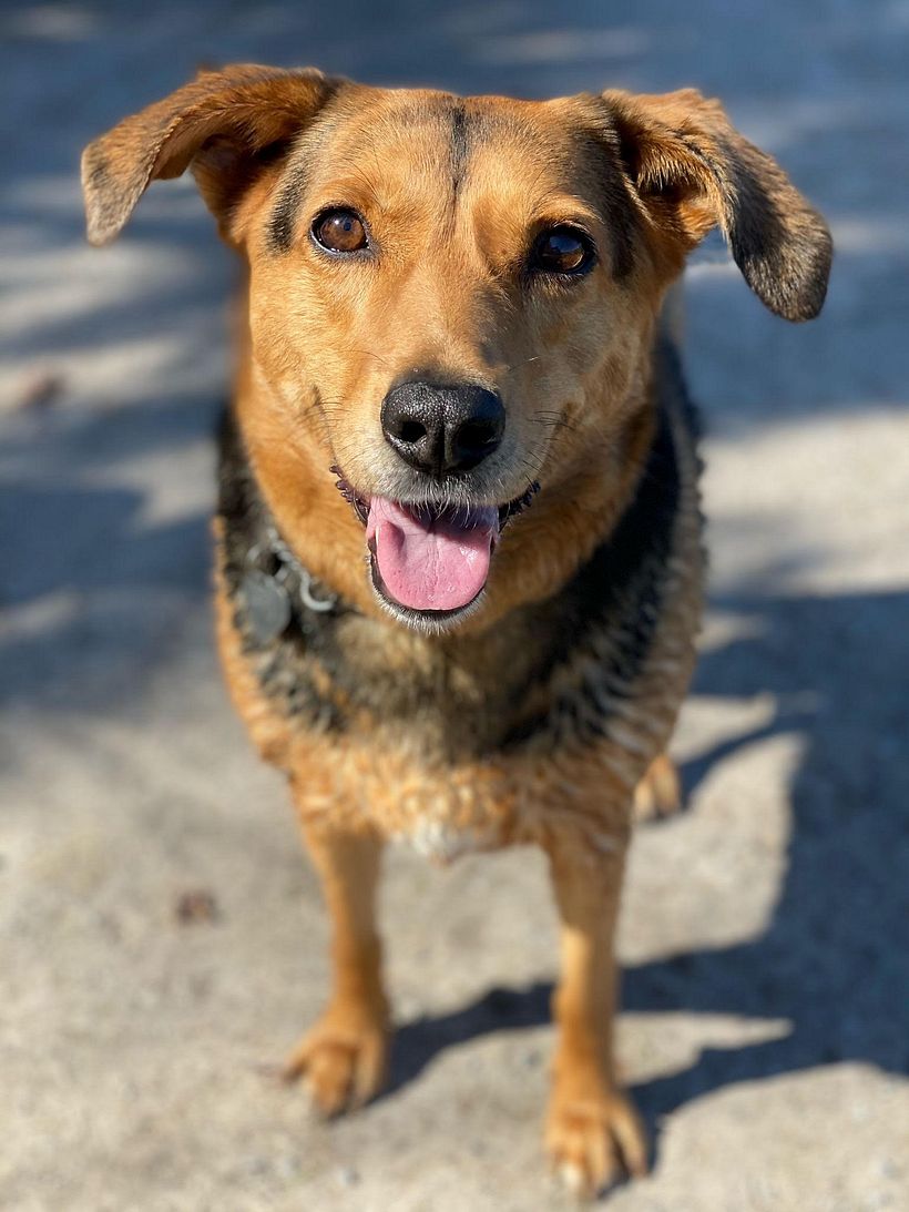 Lilly, a friend of mine
