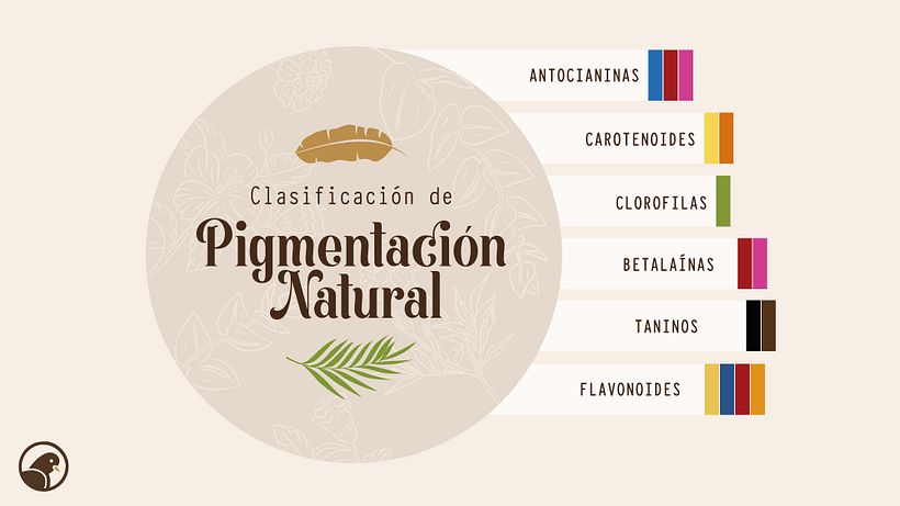 Los colores de las plantas 3