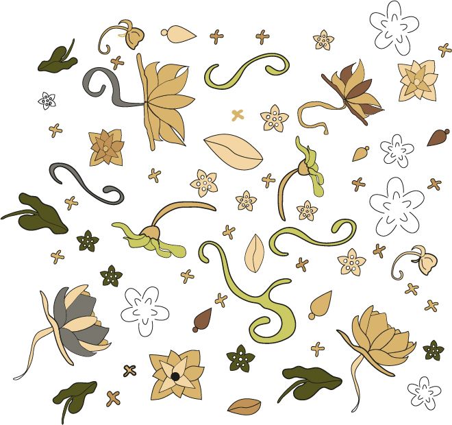 Art Noveau Ornamental Flowers and leaves 1