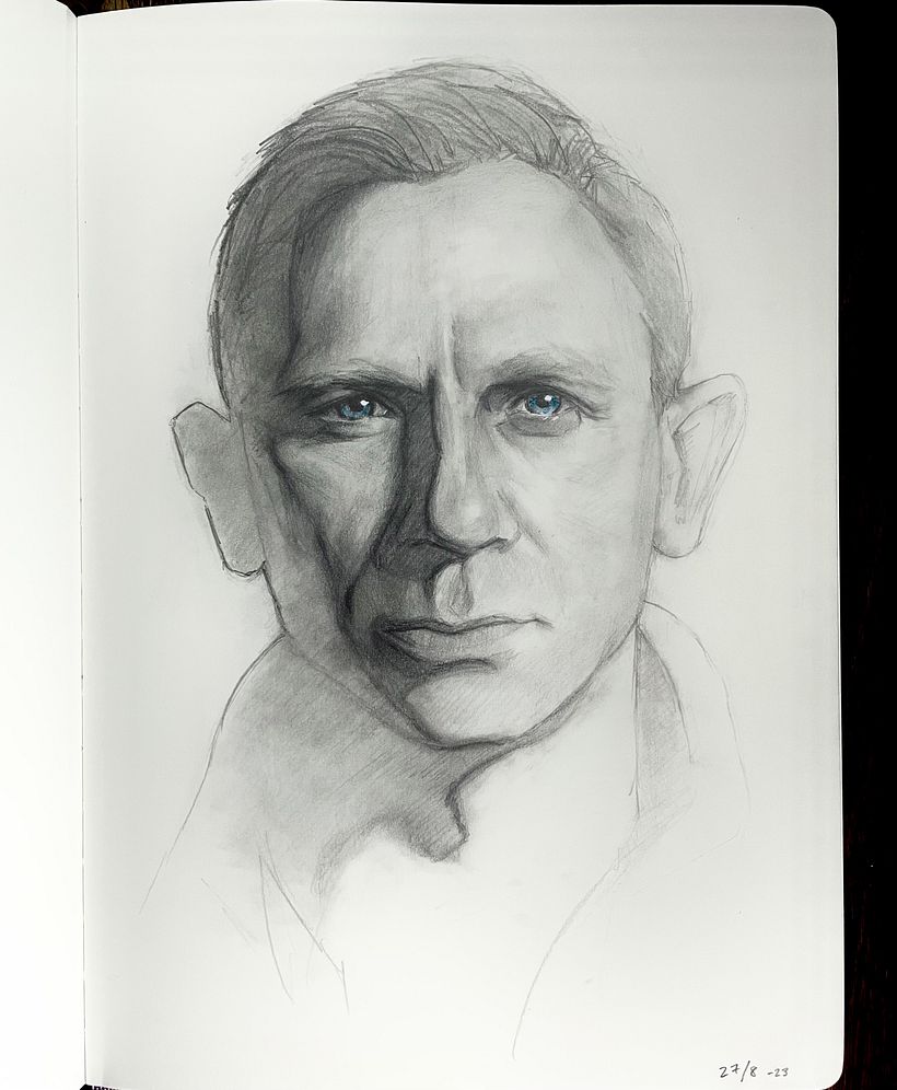 My final project. I used some colored pencils for the eyes and a white gel pen for the highlights.