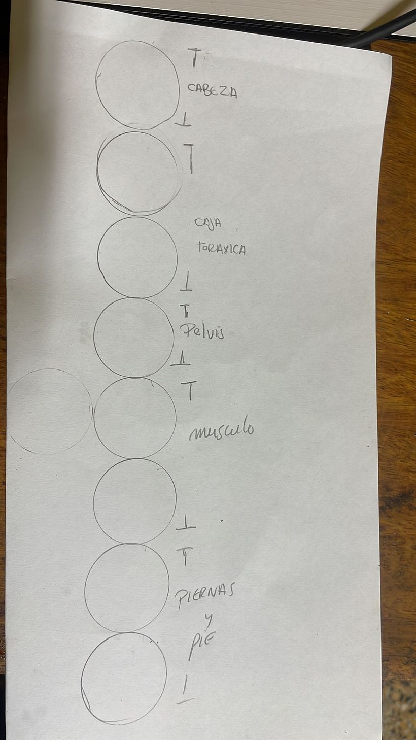 Mi proyecto del curso: Dibujo anatómico para principiantes 1