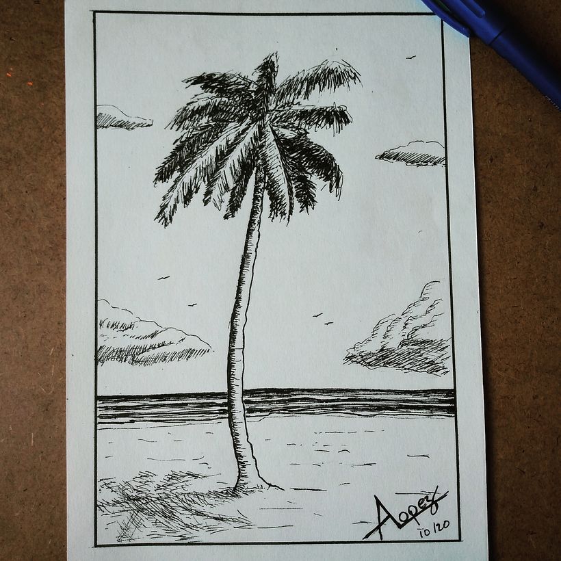 PALMERA