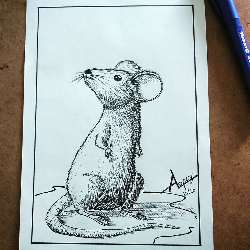 RATON