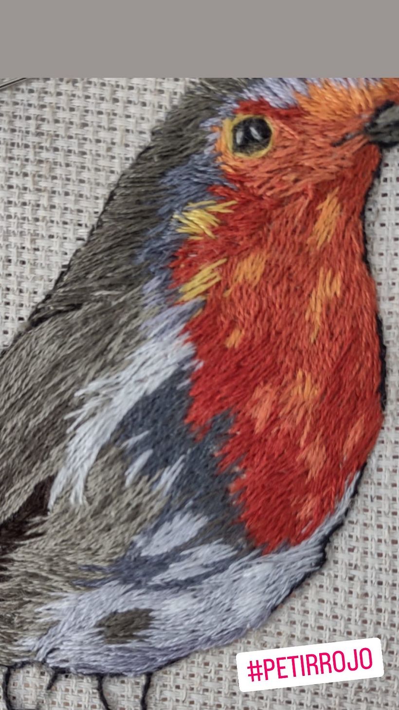 Mi Proyecto del curso: Pintar con hilo: técnicas de ilustración textil 2