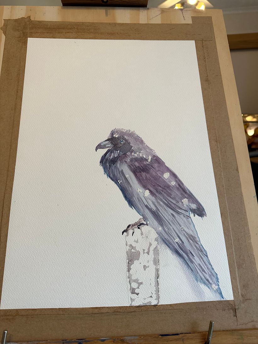 Crow in the snow!