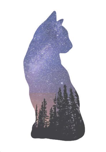 Digital template for the course