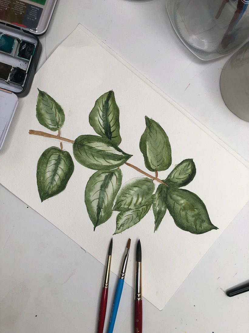 My project for course: Realistic Botanical Illustration: Escape to Nature 2