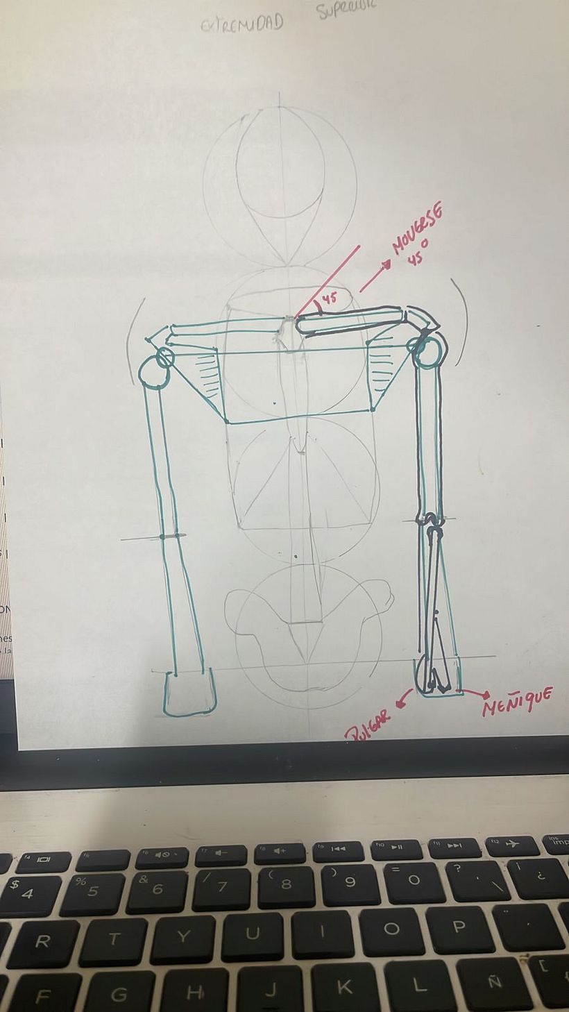 Mi proyecto del curso: Dibujo anatómico para principiantes 9
