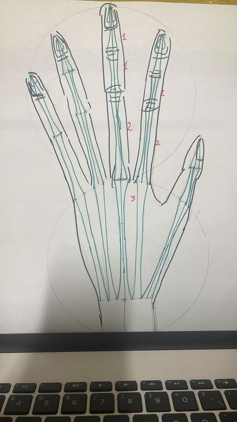 Mi proyecto del curso: Dibujo anatómico para principiantes 10